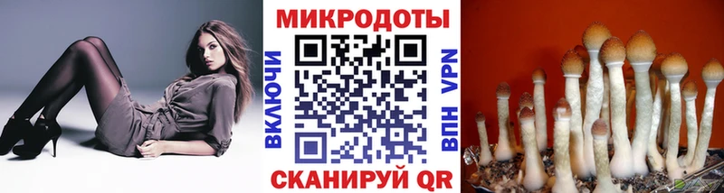 Псилоцибиновые грибы Psilocybine cubensis  Купить где  Воронеж