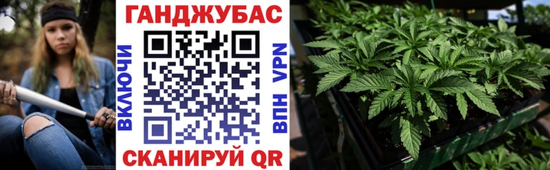 Купить где  Воронеж  МАРИХУАНА White Widow 